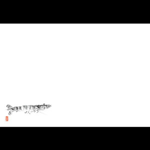 尺3 テーブルマット（100枚入） 車えび No.103 380×260mm( キッチンブランチ )