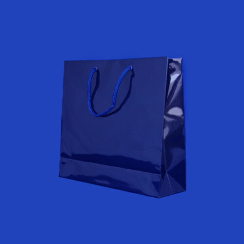 シモジマ ブライトバッグ GM 紫紺 ※1枚 006137919