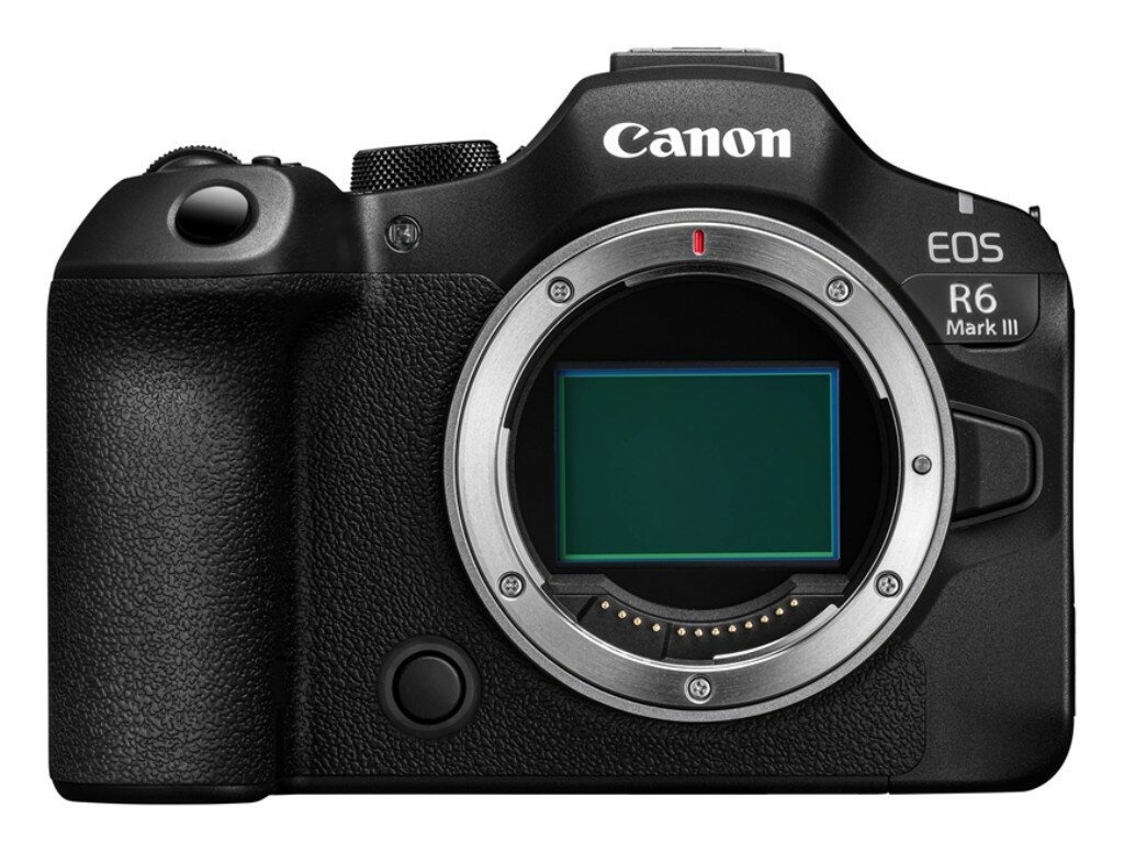 Canon キヤノン EOS R6 Mark