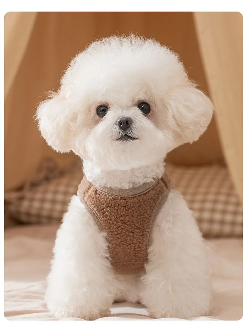 アッドキッチンの【送料無料】犬 服 犬の服 ドッグウェア アウター 中型犬 小型犬 おしゃれ ペット服 犬洋服 ウェア ドッグウェア ペットウェア お出かけ｜アングル2
