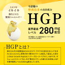 【P10倍】サプリメント ノコギリヤシ HGP アデランス ボリュームエスコート HGP ノコギリヤシ 育毛 薄毛対策 抜け毛予防 サプリ キビ種子 ケラチン 亜鉛 ヒハツ ヘアケア スカルプケア 髪 サプリ HGP業界最高配合 男性 女性 ［1日4粒/約30日分］ 3