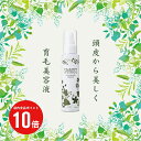 育毛剤 医薬部外品 アデランス ヘアサポート スパニスト 薬用 スカルプ＆ヘアエッセンス 120ml 女性用 スカルプケア 髪のハリ コシ 脱毛予防 発毛促進 養毛 頭皮ケア 女性 薄毛 育毛剤 育毛剤 女性用 育毛剤 レディース 育毛