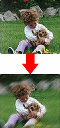 �᡼����220��ȯ��/��Jelly Lens �����꡼��� Vignette��󥺡����⤷����󥺡��������å��ȥ�å�