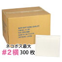 【5月中旬入荷予定予約分】クッション封筒1箱300枚入り 2横 (B5サイズ)