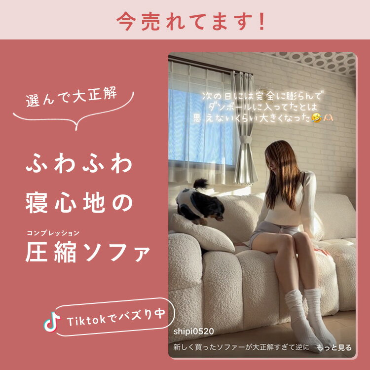 【公式】5月20日限定 10%OFFソファー 2.5人掛け ソファ 3人掛け 二人掛けソファ 2...