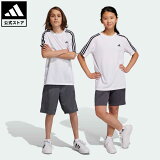 ڸۥǥ adidas ʲ ȥ쥤 å󥷥륺 AEROREADY ꡼ȥ饤ץ 쥮顼եå ȥ졼˥󥰾岼å ݡĥ åҶ  åȥå  ۥ磻 HS1608 岼