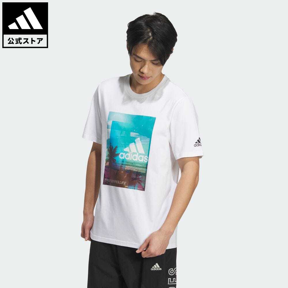 ڸۥǥ adidas ʲ JO1Ʀ ѡM PALM TREE T ݡĥ   ...