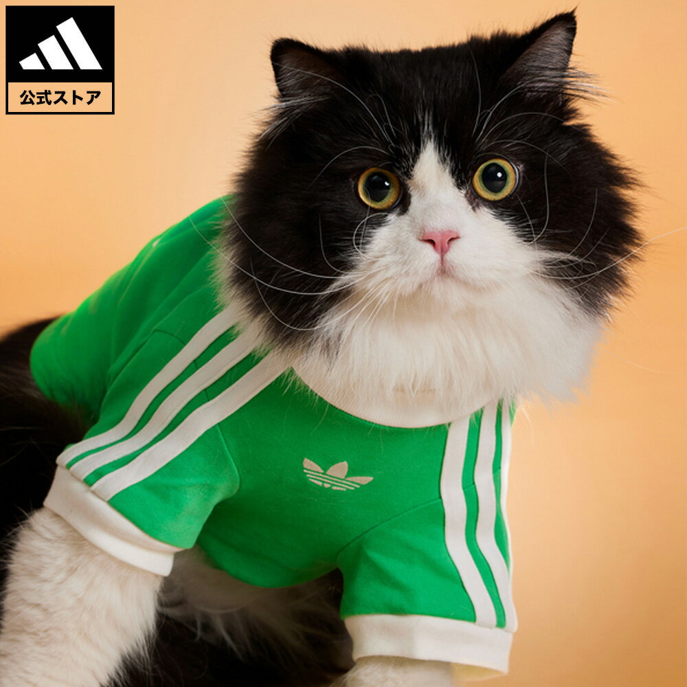 【公式】アディダス adidas 返品不可 ライフスタイル ペット Tシャツ オリジナルス ユニセックス アクセサリー その他アクセサリー 緑 グリーン KY8730
