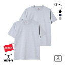 ヘインズ Hanes BEEFY クルーネックTシャツ ビーフィー 2P メンズ ADIEU [ 大きいサイズ LLまで ] 全4色 XS-XL