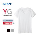 10％OFF グンゼ GUNZE ワイジー YG コットン100％ Vネック Tシャツ メンズ 定番 ベーシック オールシーズン ADIEU 全3色 M-3L