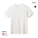 20％OFF グンゼ GUNZE ワイジー YG ネクストラ NextRA+ DRY∞DEO クルーネック 半袖 Tシャツ メンズ 綿100％ 天竺 吸汗速乾 汗臭ケア ADIEU 全2色 M-LL