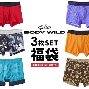 【送料無料】 グンゼ GUNZE ボディワイルド BODY WILD ボクサーパンツ お楽しみ福袋 3枚セット メンズ アンダーウェア ADIEU M-LL