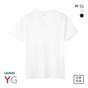 20%OFF【メール便(20)】 グンゼ GUNZE ワイジー YG 超速吸水 Vネック Tシャツ メンズ インナー 本体綿100% ADIEU 全2色 M-LL(4)