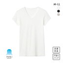 20%OFF【メール便(30)】 グンゼ GUNZE アセドロン 汗取り付き Vネック Tシャツ 短袖 半袖 鹿の子 インナー メンズ 父の日 ADIEU 全3色 M-LL