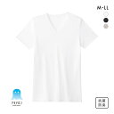 20%OFF【メール便(30)】 グンゼ GUNZE アセドロン Vネック Tシャツ 鹿の子 半袖 インナー メンズ 父の日 ADIEU 全3色 M-LL