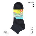 【メール便(15)】 学校へ行こう 2足組 ショート丈ソックス キッズ ジュニア 靴下 24-26cm okamoto ADIEU 全3色