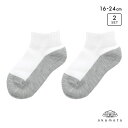 10%OFF【メール便(15)】 学校へ行こう スクールソックス 2足セット ショート丈 消臭 丈夫 足底切り替え キッズ 靴下 学生 16-18cm 19-21cm 22-24cm okamoto ADIEU 16-18cm-22-24cm