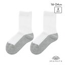 10%OFF【メール便(10)】 学校へ行こう スクールソックス 2足セット クルー丈 消臭 丈夫 足底切り替え キッズ 靴下 学生 16-18cm 19-21cm 22-24cm okamoto ADIEU 16-18cm-22-24cm
