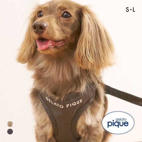 GERATO PIQUE犬柄クリアボウルセット　新品箱付き【完売品】 楽天市場】ジェラートピケ 犬（カラーグレー）の通販