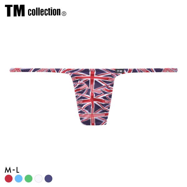 【メール便(3)】 ティーエム コレクション N-3 National Flag ハギナシシャープ Tバック ビキニ メンズ TM collection ADIEU 全5色 M-L