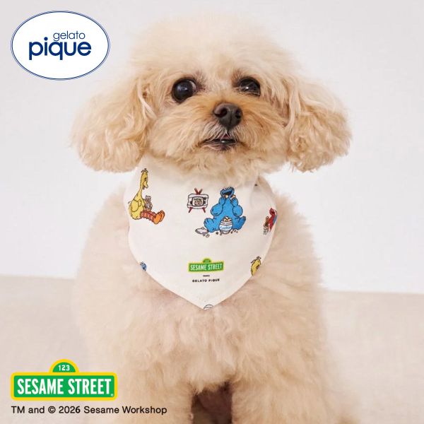 �ڥ᡼����(4)�� �����顼�ȥԥ� CAT&DOG SESAME STREET �Х���� �����ߥ��ȥ꡼�� ������ԥ� gelato pique ADIEU