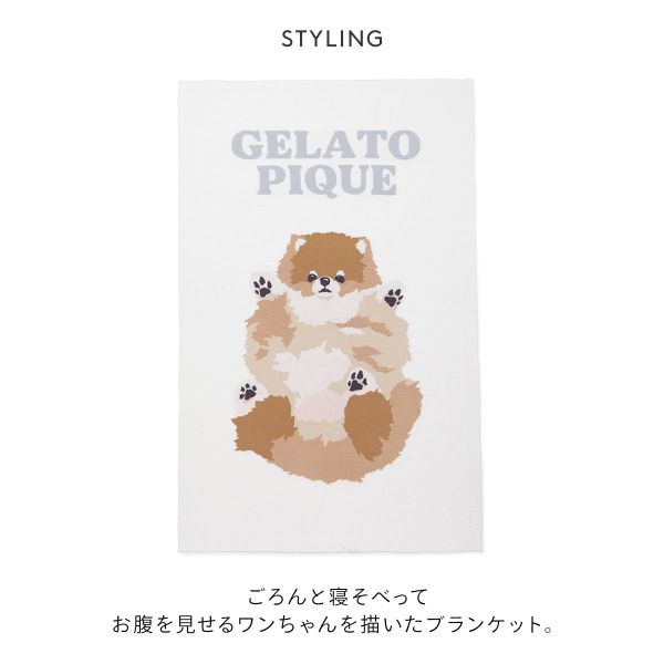 ジェラートピケ ドッグジャガードブランケット ジェラピケ gelato pique レディース ADIEU 全3色 adieu-10045460 SHIROHATO ADIEU サンプル画像3