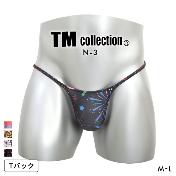 【メール便(3)】 ティーエム コレクション N-3 Variety of patterns ハギナシシャープ TB Tバック ビキニ メンズ TM collection 日本製 ADIEU 全4色 M-L