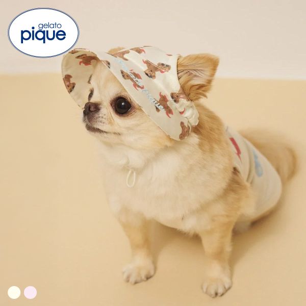 【メール便(10)】 ジェラートピケ CAT&DOG サマーベア柄ハット ジェラピケ gelato pique ADIEU 全2色 S-L(4.0)