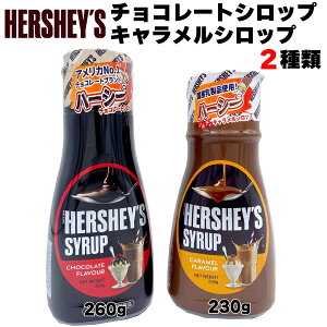 ハーシー キャラメルシロップ(230g) × チョコレートシロップ(260g) 計2本セット [手作りスイーツなどに] HERSHEY'S チョコレート ソース キャラメル ソース