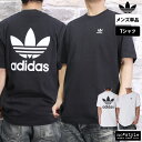 AfB_X IWiX V TVc  Y adidas originals  obNvgt gtHC EEP79| 傫TCY L X|[cEFA g[jOEFA