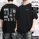 V [J TVc  Y RVCA  obNvgt Rbg I[o[TCY  BE041238| 傫TCY L X|[cEFA g[jOEFA