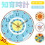 知育時計 壁掛け 置き時計 壁掛け時計 子供用 キッズ かべかけ時計 非電波 時間管理 時間学習 置き掛け..