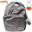 ~btB[ fCpbNiMj O[ fB[X LbY obNpbN OUTDOOR BAG