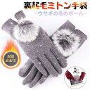 手袋 タッチパネル対応 ファー 裏起毛 寒さ対策グッズ 通勤 通学 アウトドア用 贈り物 カジュアル デート