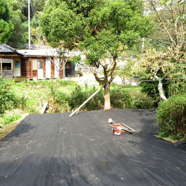 1�� 1m��50m ���𥷡��� �֥�å� �� ���ѥ����� ���𥷡��� �����ɻ� �����ɻߥ����� ��褱������ ���𥷡��� 1�ܡ�����̵����