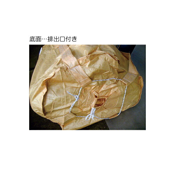 1100�ա�1100 10�� #005 �ӽи��դ� �ݷ� �ե쥳��Хå� ����ƥ��ޡ�����̵����