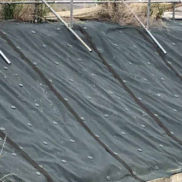 1�� 1m��30m OTS ���� ���𥷡��� ���ѥ����� ���𥷡��� �����ɻ� �����ɻߥ����� ��褱������ ���𥷡��� 2��������̵����