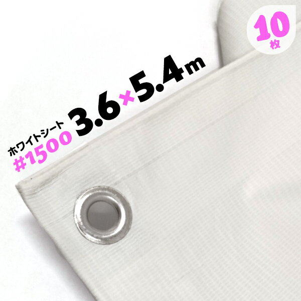 薄手 軽量 1500 軽量 3.6m×5.4m 10枚 ホワイトシート 建築足場用 内装工事 リフォーム現場 ブルーシート 色違い 白 ホワイト【送料無料】