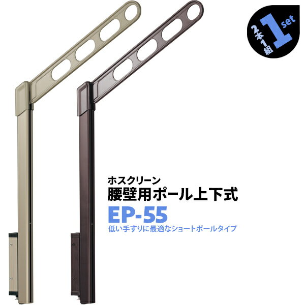 2本1組×1セット EP-55 アーム550mm ポール778mm 川口技研 ホスクリーン 物干し金物 ベランダ 屋外 腰壁用 ポール上下式【送料無料】