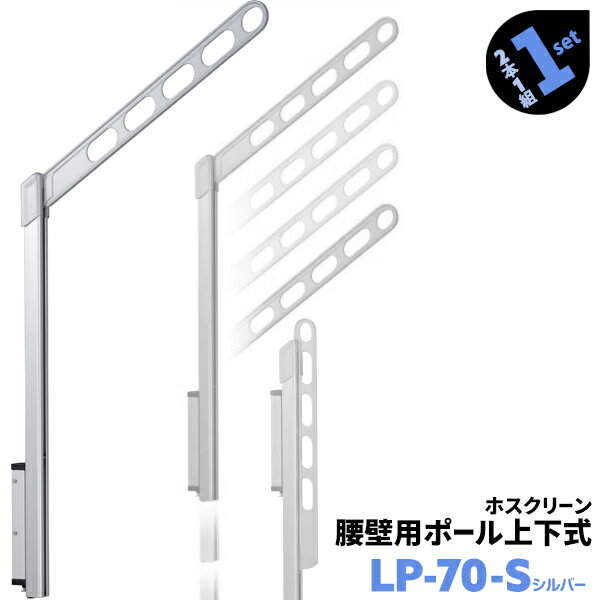 2本1組×1セット LP-70 アーム700mm ポール968mm 川口技研 ホスクリーン 物干し金物 ベランダ 屋外 腰壁用 ポール上下式【送料無料】