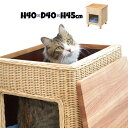 W40×D40×H45 ペットハウススツール PET-63 小屋 ラタン 籐 カゴ 犬 いぬ イヌ 猫 ねこ ネコ ペットベッド クッション付き ペットマット【送料無料】