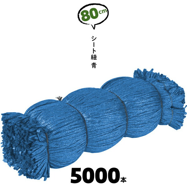80cm 5000本 ブルー シート紐 シートひも シート用紐 青 足場 紐 シートひも カット紐 800mm 建築現場 ..