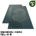2枚 13mm厚 軽量 Wボード48 片面凹凸 1219×2438 樹脂製敷板 地盤の養生ボード 芝生養生 河川敷工事 敷き板 臨時駐車場 仮設駐車場【送料無料】