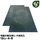 5枚 13mm厚 軽量 Wボード48 片面凹凸 1219×2438 樹脂製敷板 地盤の養生ボード 芝生養生 河川敷工事 敷き板 臨時駐車場 仮設駐車場【送料無料】
