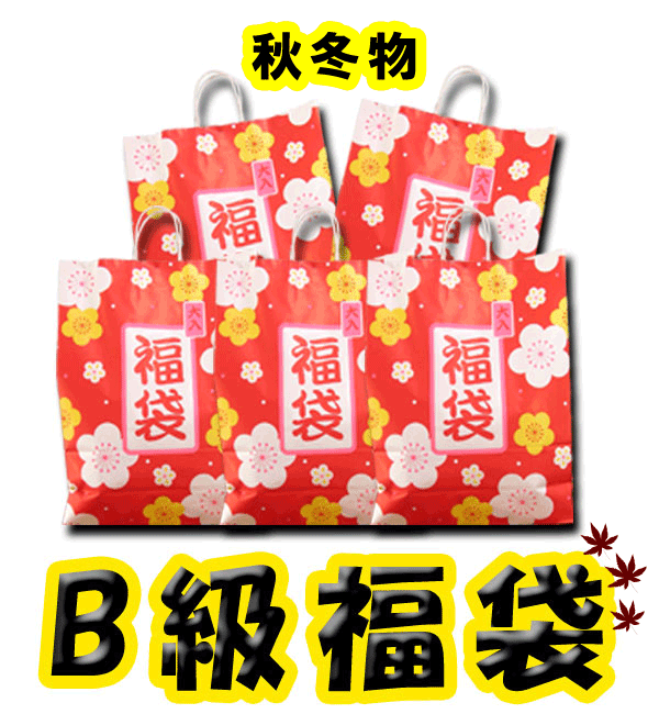 ●訳ありB品福袋について● ちょっとワケがあって…、表舞台に堂々と姿を現せないお洋服たち。そんなお洋服たちだって、オシャレさんに着てもらいたいと願っているはず。着れないわけじゃない。すごく小さなシミや糸のほつれ(補修済み等)、検品する際も、...