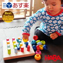 【スーパーセール割引クーポン配布中】最強配送 沖縄離島も送料無料 大人気 HABAハバ 積み上げ遊びのロングセラー カラーリングのペグ遊び リングとペグの積み上げ遊び 知育玩具 右脳教育 木製玩具 木のおもちゃ 指先遊び 積み木 つみき 積木 HA2202(3)