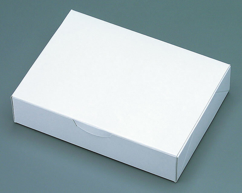 焼きそば 用 テイクアウト 紙容器 ・ 紙箱 YH-M 無地 500ヶ入【HLS_DU】