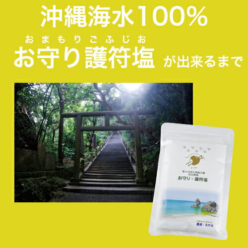 �ڥ�󥭥����ޡ� �� ŷ������ ���� �����ν���������ƤŤ���� ���ۤ������Τޤ� ���������[100g] �����100% ������ ή��������ˡ �ߥͥ��˭�� ����� ������