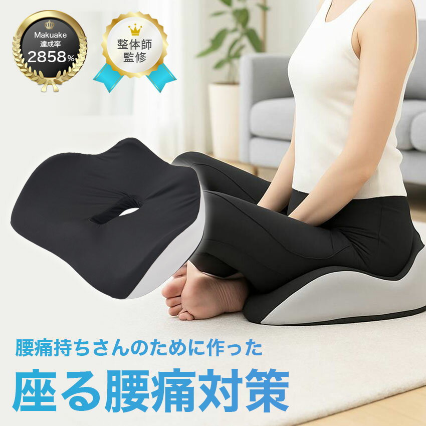 姿勢クッション 骨盤サポート 骨盤クッション 姿勢矯正 座布団 腰痛クッション 在宅ワーク クッション 骨盤ケア 骨盤矯正 骨格サポート 猫背 姿勢サポート 姿勢改善 筋膜 骨盤矯正 オフィスチェア クッション アラインパッド AlignPadPro