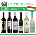 赤 白 ワインセット